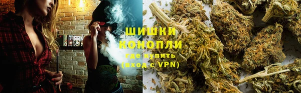 ГАЛЛЮЦИНОГЕННЫЕ ГРИБЫ Верея
