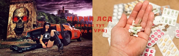 ГАЛЛЮЦИНОГЕННЫЕ ГРИБЫ Верея