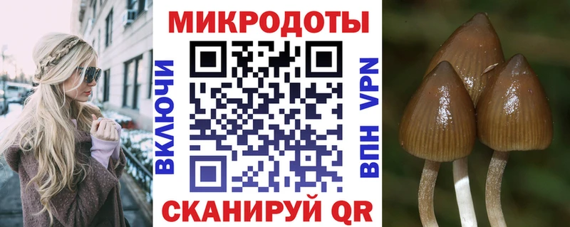 даркнет сайт  Верея  Псилоцибиновые грибы прущие грибы 